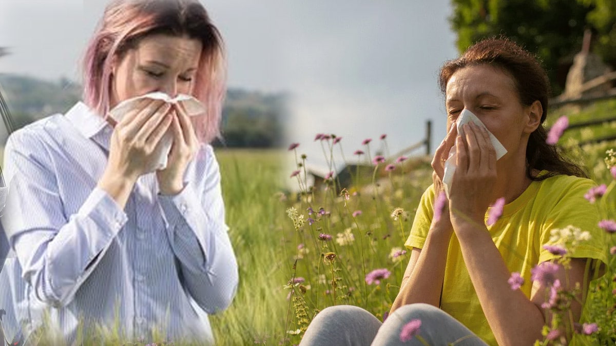 Allergie au pollen