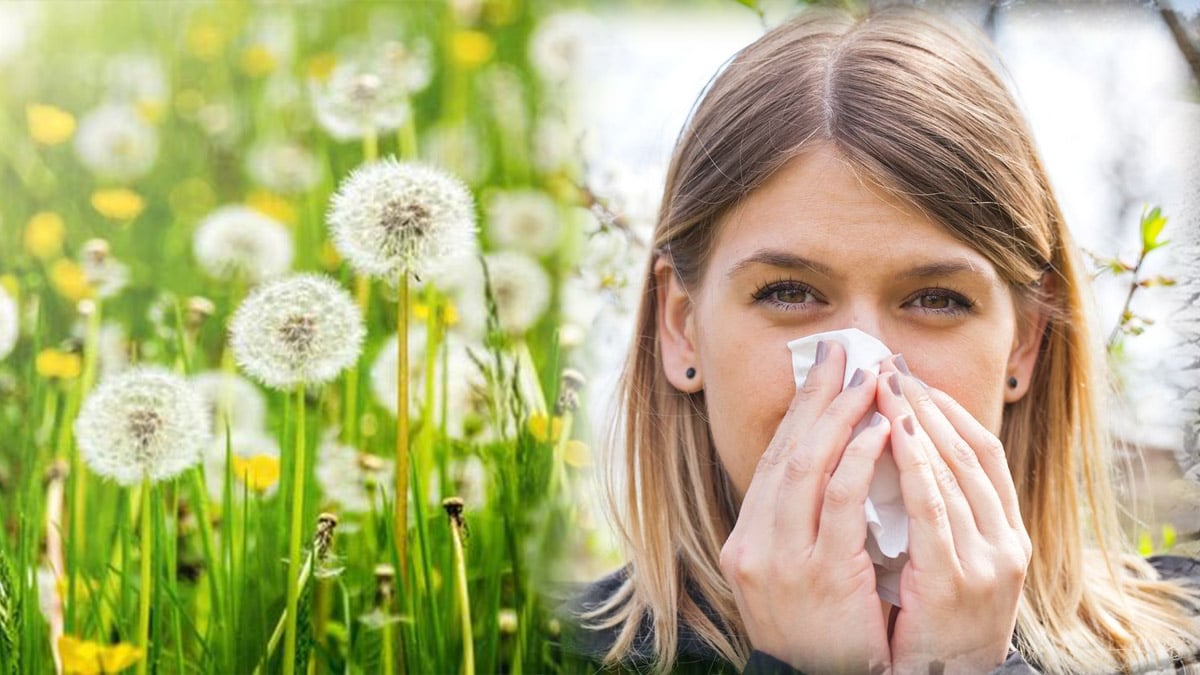 Allergies aux Pollens