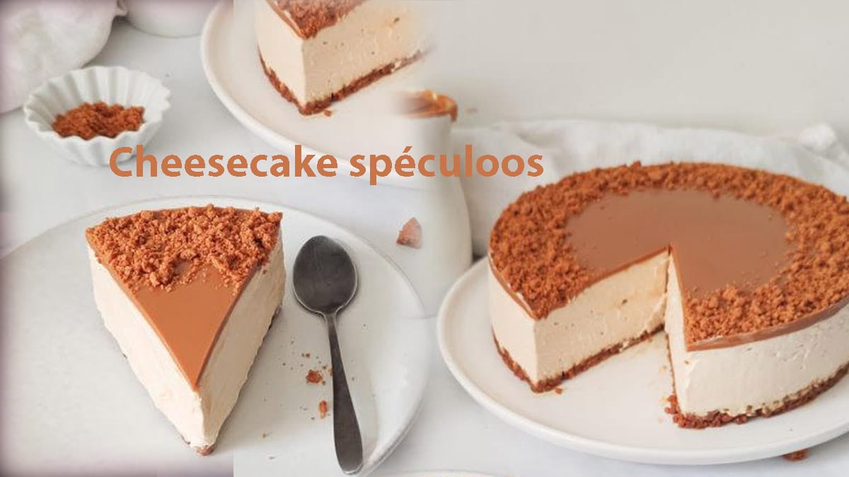 Cheesecake spéculoos