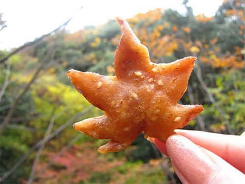 La feuille d’érable frites du Japon.