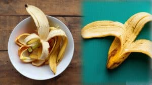 peau de banane