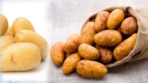 pomme de terre
