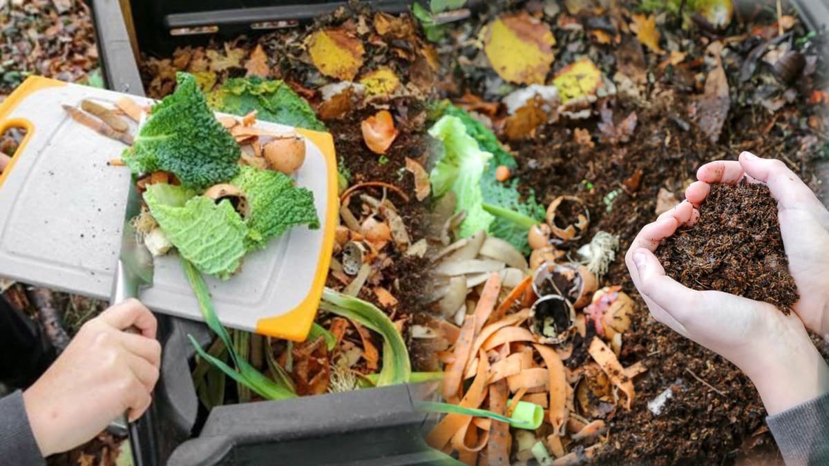 compostage