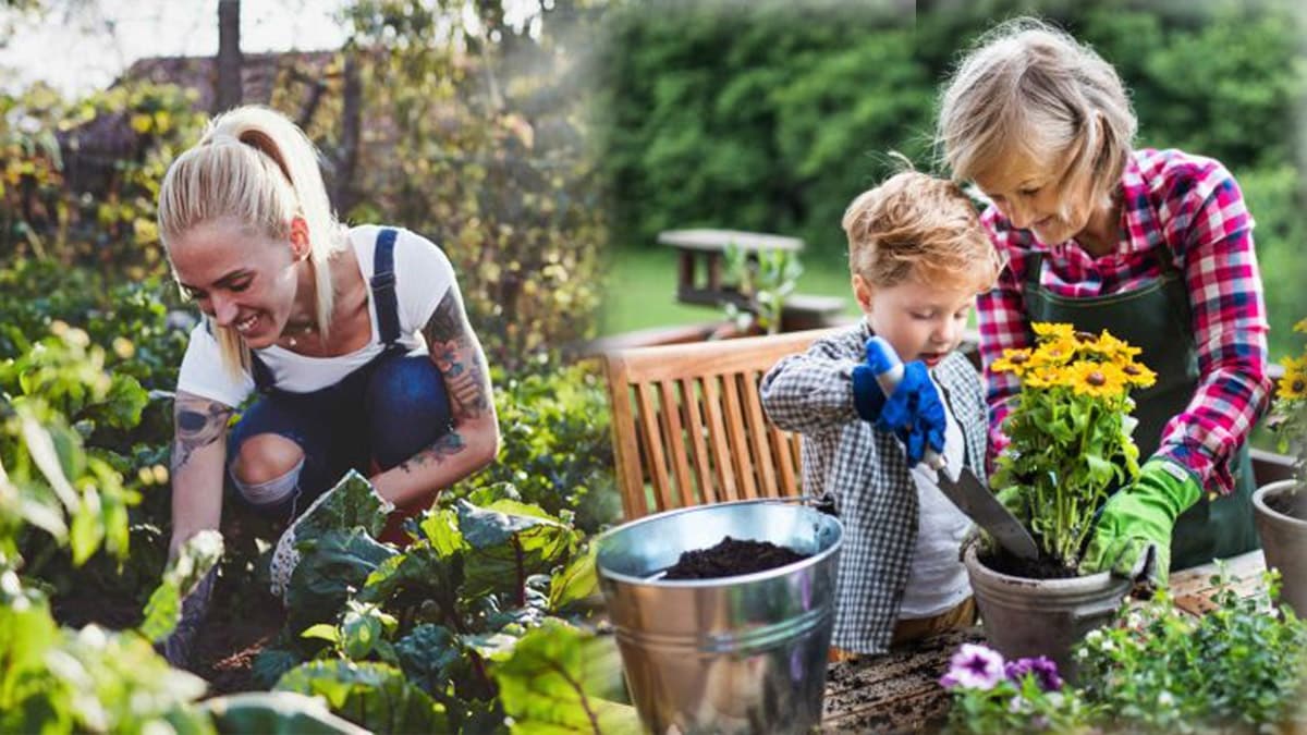 jardinage