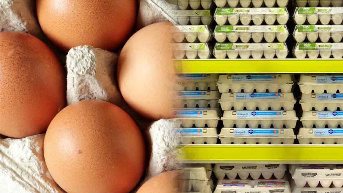 oeuf