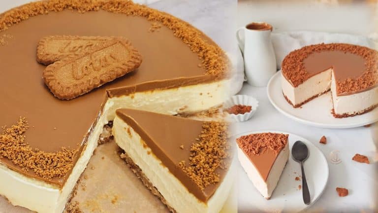 Recette Cheesecake Spéculoos Sans Cuisson Facile