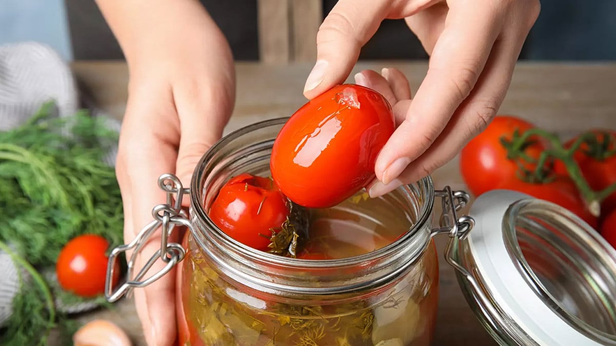 conserver les tomates fraîches