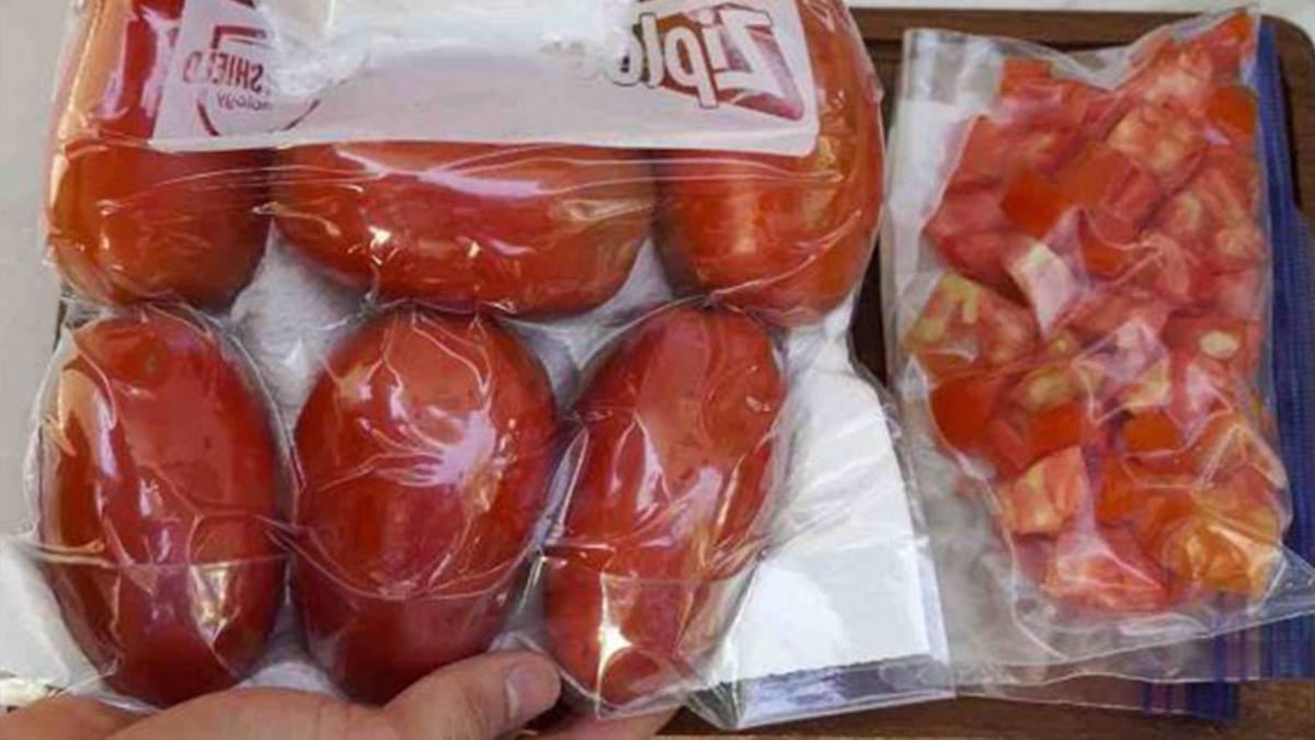 tomates fraîches pendant 6 mois