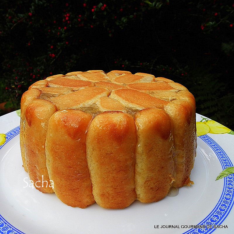 découvrez notre délicieuse recette de charlotte aux pommes, un dessert fruité et savoureux qui ravira vos invités. facile à préparer, cette charlotte combine des pommes caramélisées et un biscuit léger pour une expérience gourmande inoubliable.