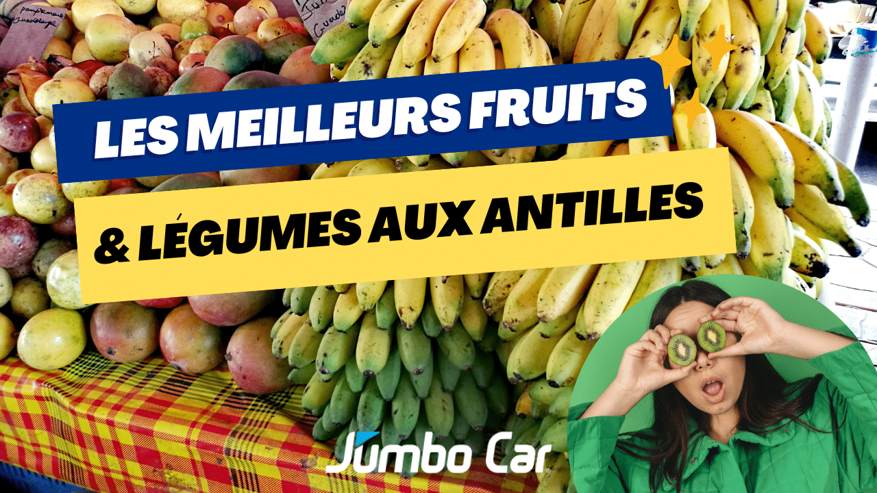 découvrez l'ananas des antilles, un fruit juteux et sucré qui évoque le soleil et les plages des caraïbes. idéal pour vos desserts, smoothies ou en décorations, cet ananas offre une expérience gustative unique et exotique à chaque bouchée.