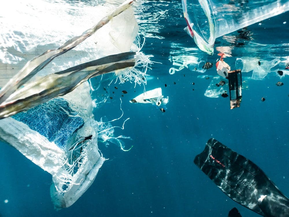 découvrez les enjeux de la contamination par les microplastiques, un problème environnemental majeur qui affecte nos océans, notre santé et notre écosystème. informez-vous sur les sources, les impacts et les solutions pour lutter contre cette pollution invisible.