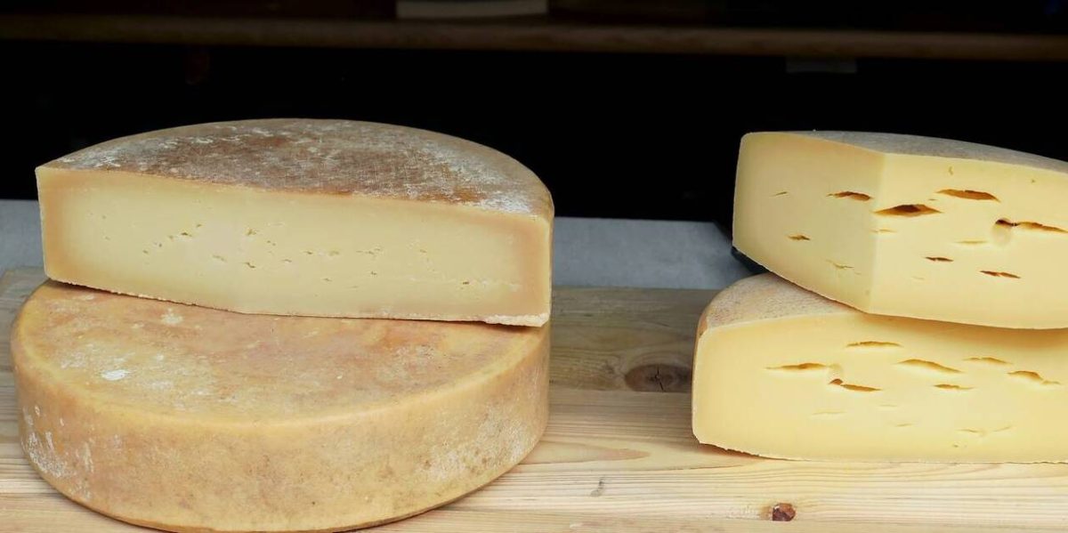 découvrez les enjeux liés au fromage saint-nectaire contaminé : causes, risques pour la santé et conseils de consommation. restez informé pour profiter pleinement de ce produit emblématique de la gastronomie française.