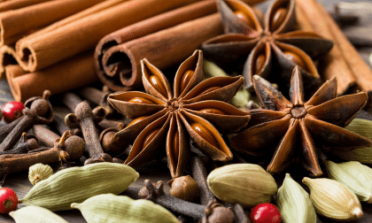 découvrez comment créer votre propre mélange d'épices unique pour un pain d'épices irrésistible et savoureux. apprenez les secrets des saveurs authentiques et épatez vos proches avec une recette personnalisée.